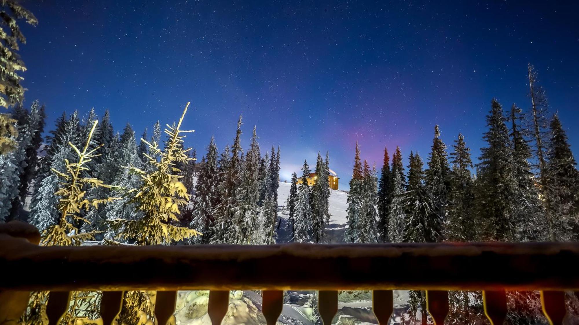 Alpin Eco Chalet & Wellness Dragobrat Exteriör bild